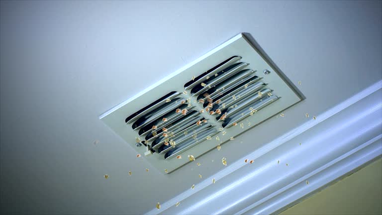 Best General Air Duct Cleaning  in Saks, AL